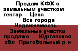 Продам КФХ с земельным участком 516 гектар. › Цена ­ 40 000 000 - Все города Недвижимость » Земельные участки продажа   . Курганская обл.,Притобольный р-н